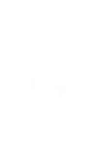 KV02_Wappen outline